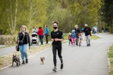 Bydgoszczanie wyszli z domów. Parkowe alejki Myślęcinka znów się zaludniły [zdjęcia]