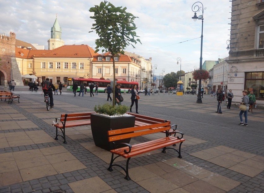 Nowe ławeczki w centrum Lublina