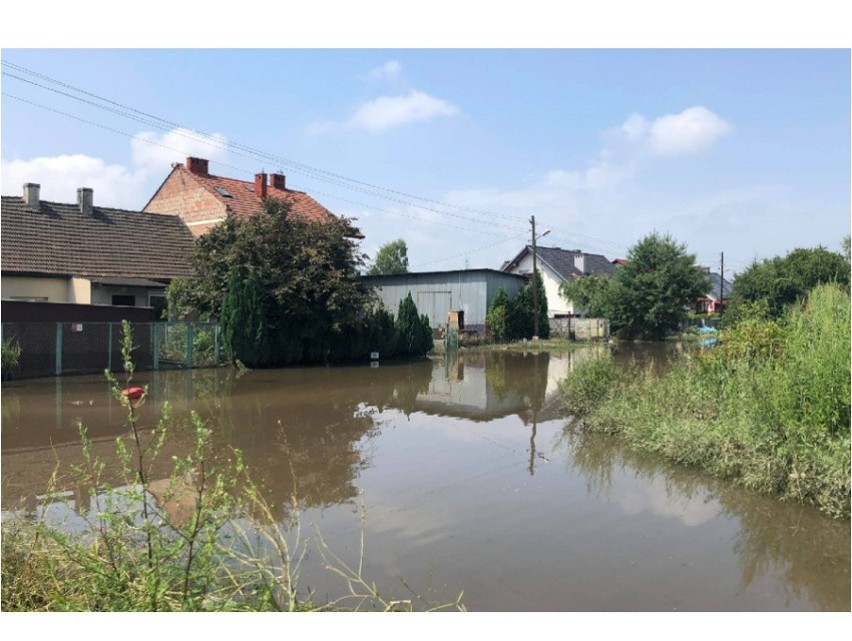 Kilkadziesiąt domów w Bieżanowie pod wodą