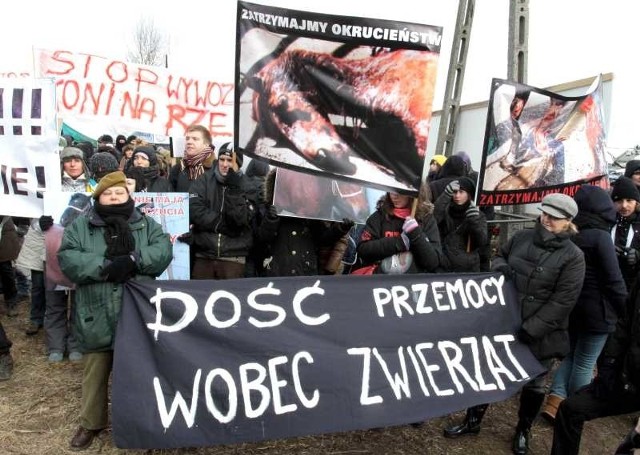 W ubiegłym roku w Skaryszewie odbył się protest przeciwko wywozowi koni na rzeź