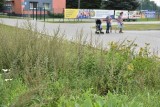 Toruń. Trawnik koszony zdecydowanie za rzadko