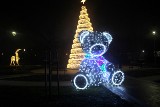 Łomża. Park Jana Pawła II rozświetliły świąteczne iluminacje. Sprawdź zdjęcia