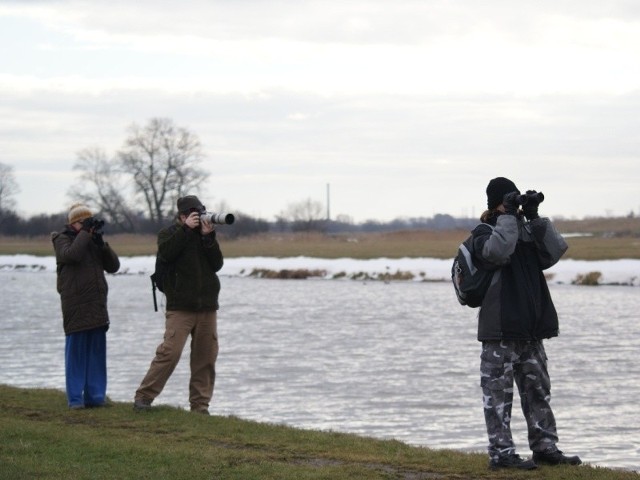 Ptakoliczenie to coroczna akcja wzorowana na brytyjskim "Big Garden Birdwatch".