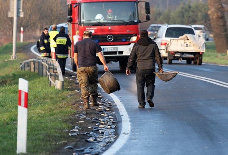 Do kraksy doszło na trasie z Zielonej Góry do Nowogrodu...