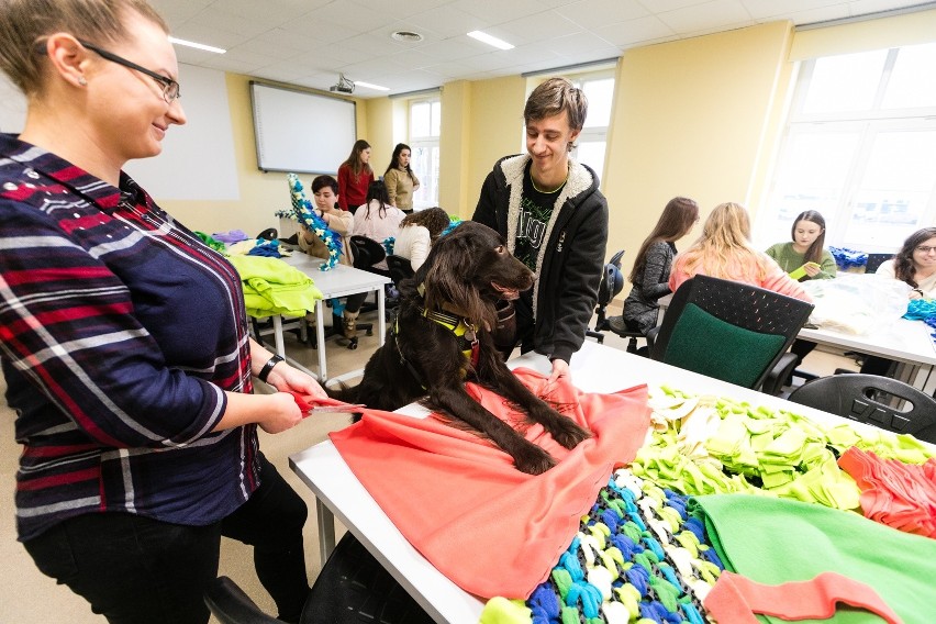 Szczecin. Studenci kynologii ZUT robią maty węchowe dla psów [ZDJĘCIA]