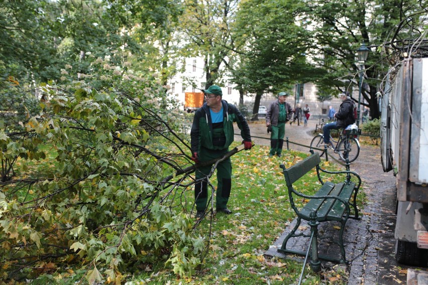 Orkan Ksawery w Krakowie. Wielkie sprzątanie na Plantach [ZDJĘCIA]