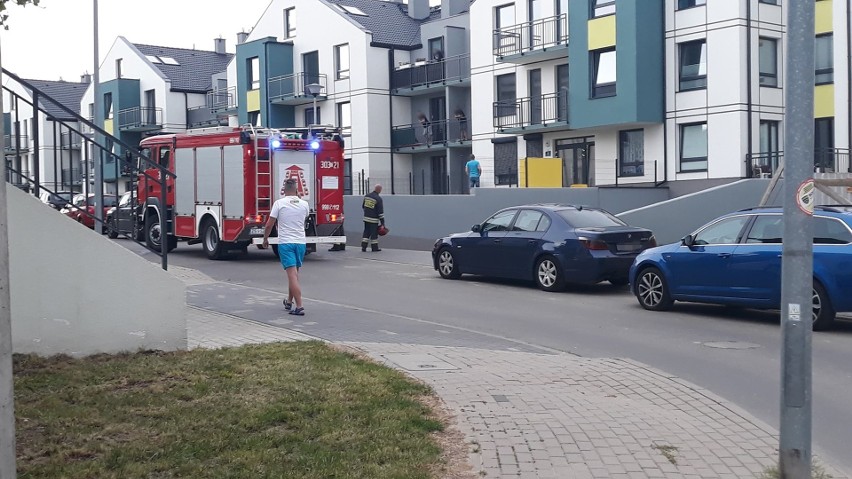 Pożar pojemnika na odpady przy ul. Limby w Szczecinie. Interweniowały cztery zastępy straży pożarnej 