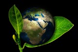 Lasy Państwowe inwestują w Planetę                               