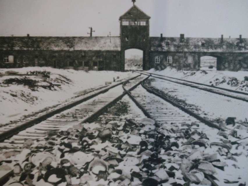 Wystawa o obozie Auschwitz w Kielcach. Piekło obozowej codzienności. WSTRZĄSAJĄCE ZDJĘCIA 