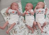 W szpitalu w "Zdrojach" urodziły się trojaczki. Dwukrotnie w jednym kwartale! 