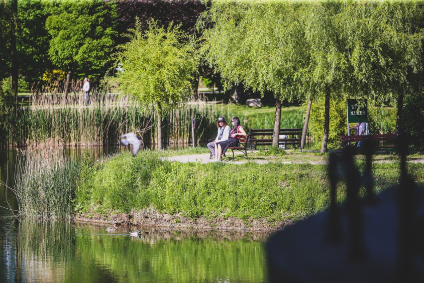 Park Kachla to jedno z ulubionych miejsc wypoczynku bytomian