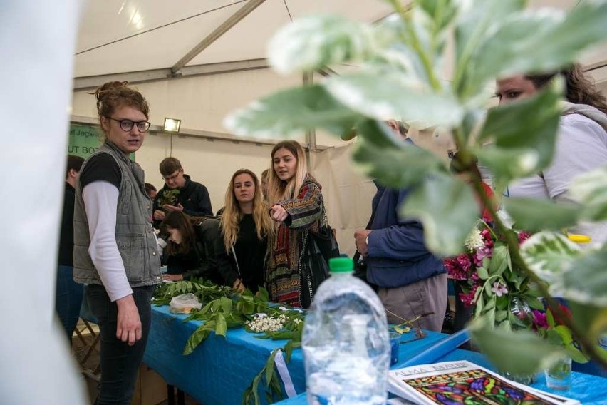 Kraków. Grupowe łapanie cząstek smartfonami i szachy na Festiwalu Nauki i Sztuki