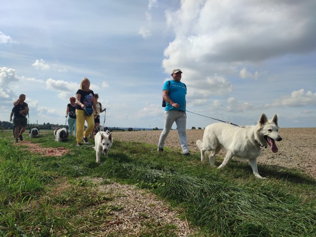 Dogtrekking w Bogdańczowicach