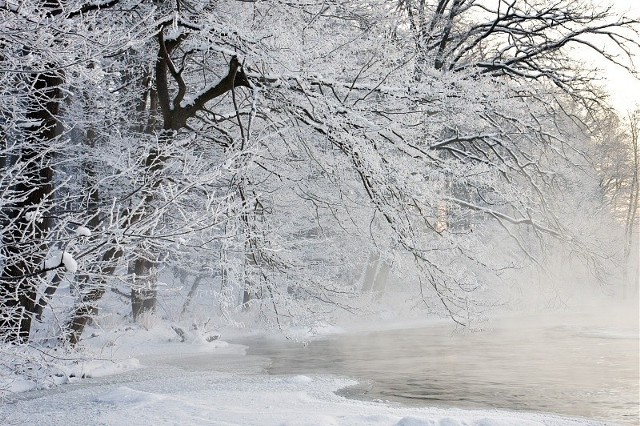 W niedzielę pogodnie będzie  w zachodniej Polsce. Na pozostałych obszarach zacznie się chmurzyć i padać śnieg. Opady mają się przemieszczać z południa na północ kraju. Synoptycy przewidują, że przybędzie do 3 cm świeżego puchu. Temperatura na termometrach  od -15 st. C na Suwalszczyźnie przez -11 st. C w centrum kraju do -9 st. C na Śląsku.