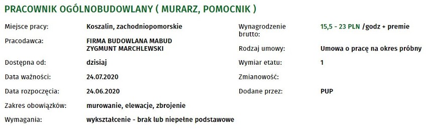 Oferty pracy w Koszalinie i okolicach