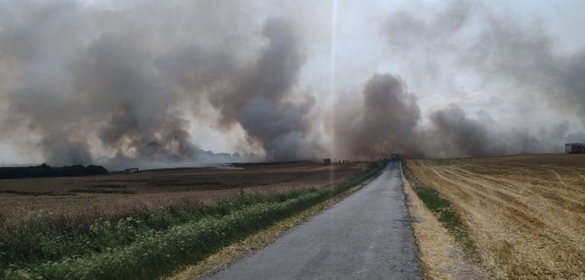 Pożar zboża pod Godkowem niedaleko Chojny