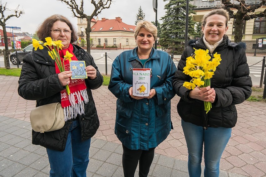 W Nowym Sączu po raz kolejny zakwitły Pola Nadziei