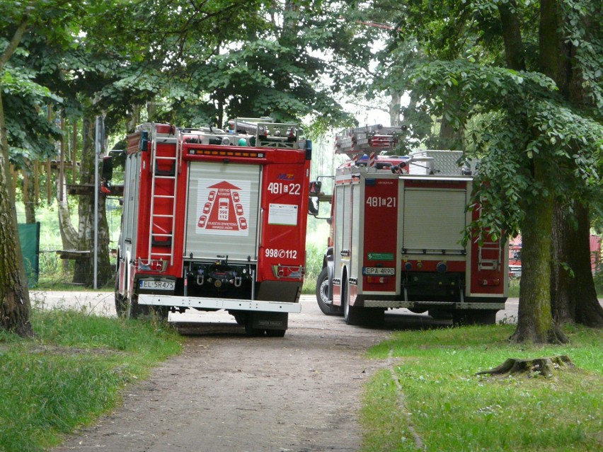 Akcja służb na Lewitynie. Strażacy, policja i strażnicy miejscy o bezpieczeństwie nad wodą. ZDJĘCIA