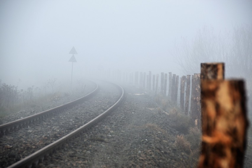 Płot będzie miał aż 41 kilometrów. Powstaje wzdłuż linii...