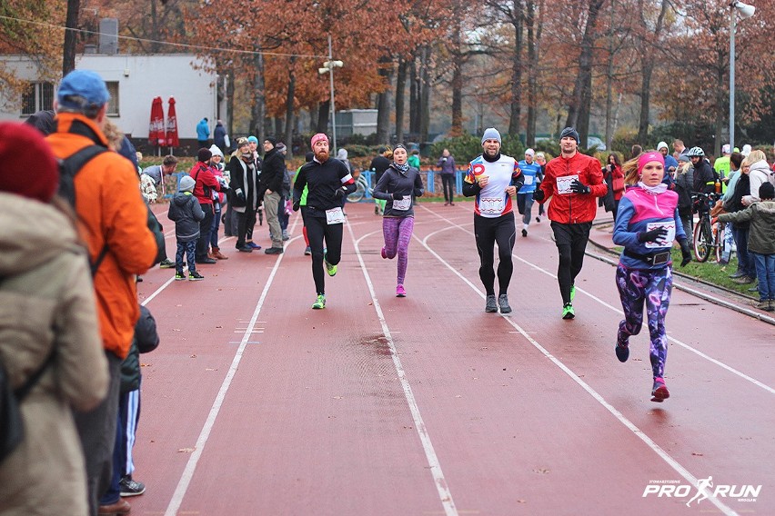 Bieg z Wąsem 2016, Wrocław