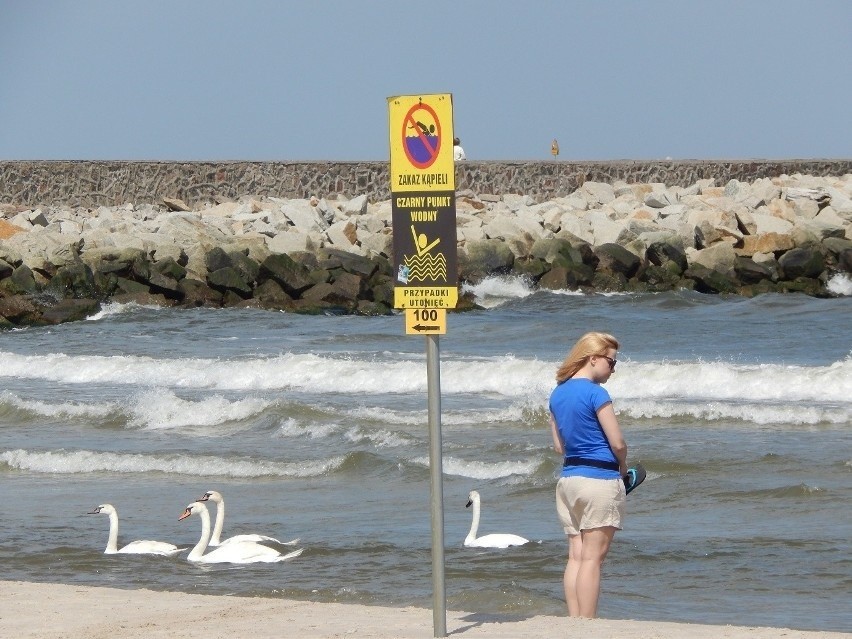 Usteckie plaże w mieście i gminie będzie strzegło ponad 60...