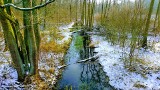 Pieszo lub na rowerze ruszajcie na Pętlę Wiewóra w Szprotawie, z nowym przewodnikiem turystycznym!