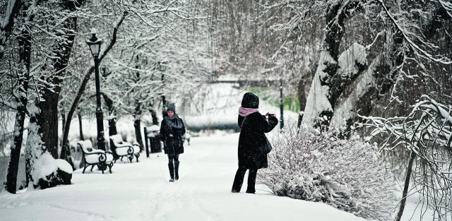 Zima w Koszalinie