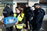 37 martwych zwierząt w "schronisku" w Toruniu! Żywe udało się odebrać właścicielce