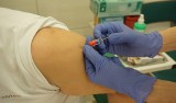 Zniesienie obowiązku szczepień w Polsce staje się realne? Do Sejmu trafił projekt ustawy obywatelskiej