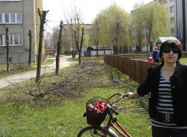 Dlaczego drzewa zostały tak okaleczone? - pyta oburzona Danuta Grabarczyk, mieszkanka bloku przy ulicy Piaskowej w Łapach.