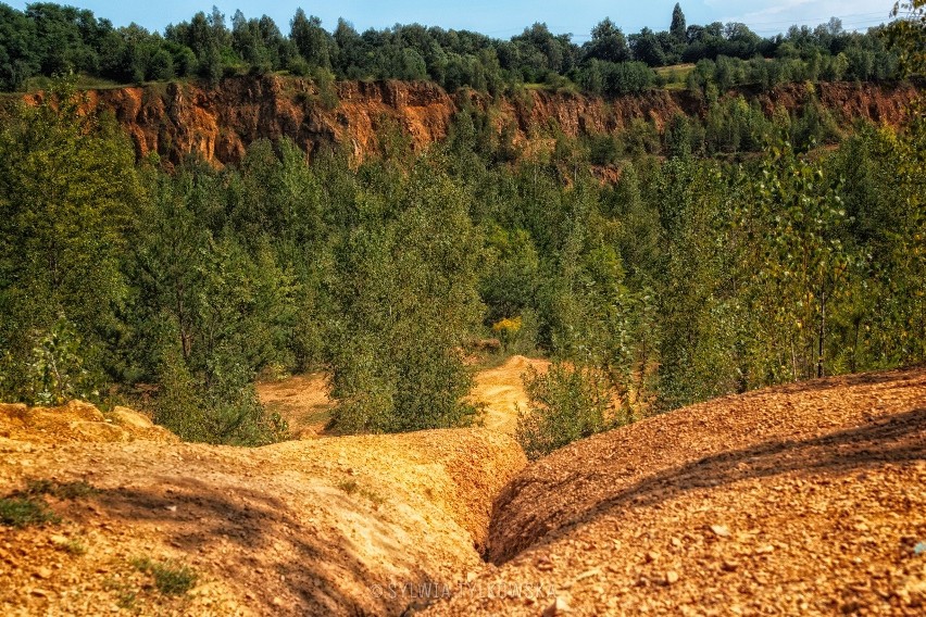 Bytomskie Dolomity to świetnie miejsce na wycieczkę rowerową...