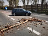 Silny wiatr w Kujawsko-Pomorskiem. Służby od rana usuwają konary drzew