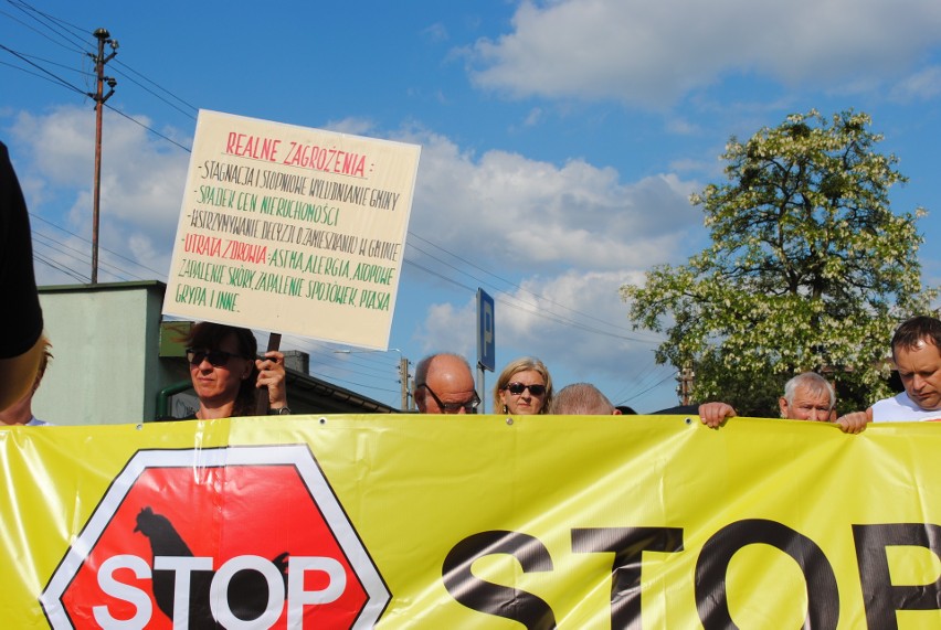 „STOP fermom kur w gminie Białe Błota”. Mieszkańcy protestują!  (zdjęcia)