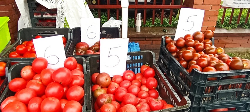Pomidory za 5-6 złotych od kilograma. Cena zależała od ich...