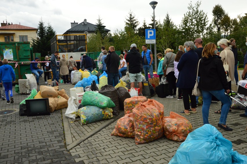 Tak było podczas Pikniku Ekologicznego w ubiegłym roku