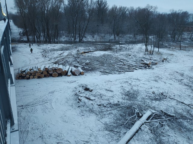 MZD zapewnia, że do wycinek na Kępie Bazarowej drogowcy zostali zobowiązani mocą decyzji środowiskowej na przebudowę mostu. Naszego Czytelnika to nie przekonuje. Pan Bogusław wspomina wcześniejsze wycinki, przypomina jakim skarbem jest Kępa Bazarowa i mówi, że szkoda tego terenu.