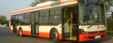 Kolejne podejście do zakupu nowych autobusów w Toruniu