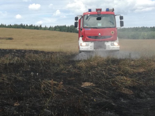 Na torfowisku w Nosówku (gmina Białogard) wybuchł pożar