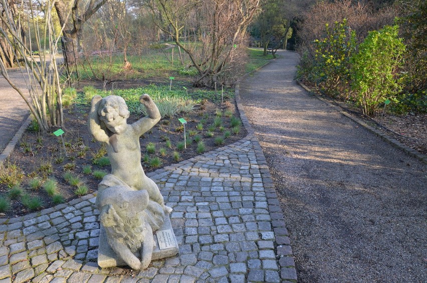 Wrocław: Zamykają ogród botaniczny. Ostatni weekend zwiedzania (CENY, GODZINY OTWARCIA)