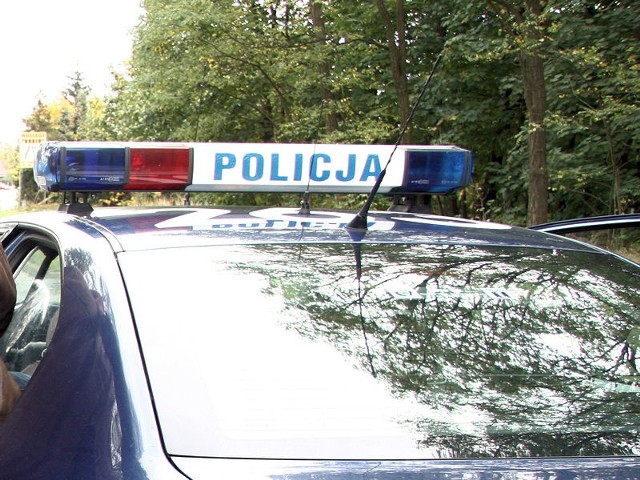 Policjanci zatrzymali złodzieja volkswagena.