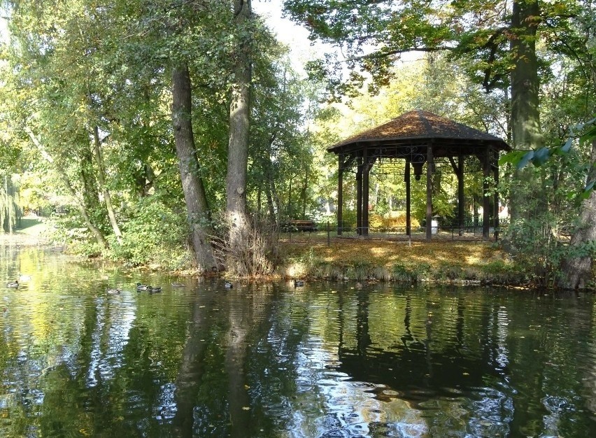 Pół godziny drogi od Wrocławia, w gminie Długołęka, znajduje...