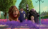 Starachowickie kino Kultura zaprasza na filmy „Rodzina Addamsów” i „Ikar. Legenda Mietka Kosza” (zdjęcia, wideo)