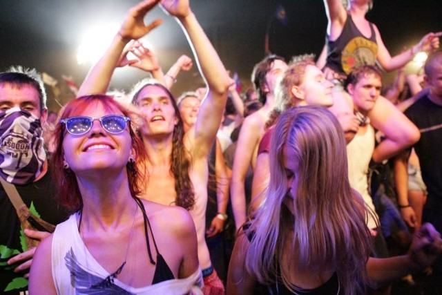 Organizatorzy szacują, że na Przystanku Woodstock 2013 bawiło się około 500 tys. ludzi.