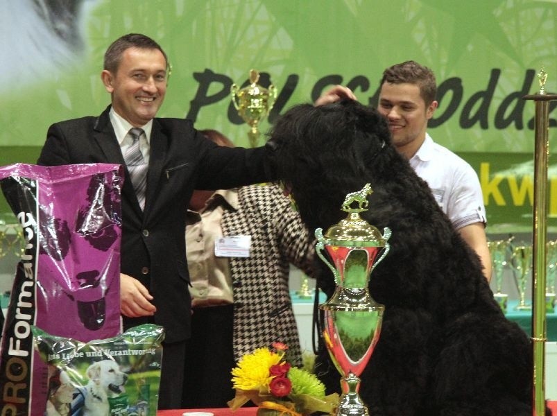 Oto zwycięzca wystawy – Dargos, czarny terier rosyjski. Z...