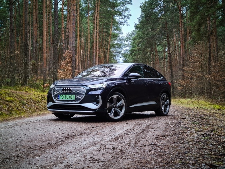 Audi Q4 e-Tron - 216 egzemplarzy...