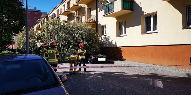Podmuch wiatru powalił drzewo na samochody na jednym z dąbrowskich osiedli