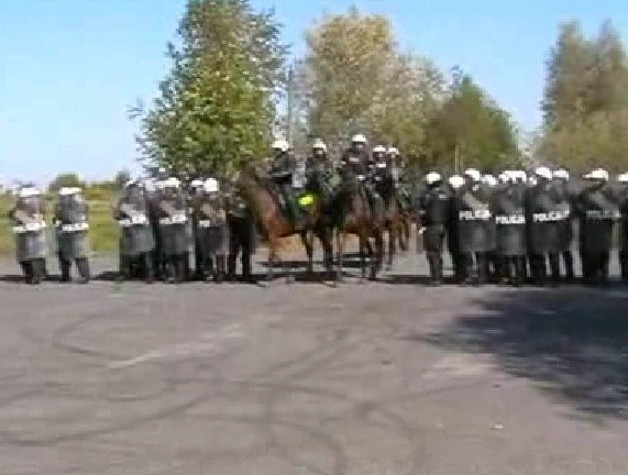 Ćwiczenia policji konnej