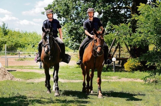 Strażnicy miejscy patrolują lasy i parki na koniach. Zdarza się, że podczas patrolu przyłapują pary uprawiające seks