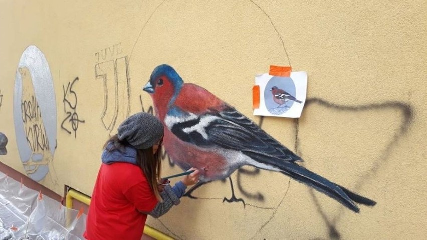 Niezwykła akcja w Suchedniowie. Zamiast wulgaryzmów - murale z ptakami (ZOBACZ ZDJĘCIA)