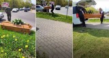 W Golubiu-Dobrzyniu trumna wypadła z karawanu. Sprawą zajęła się policja